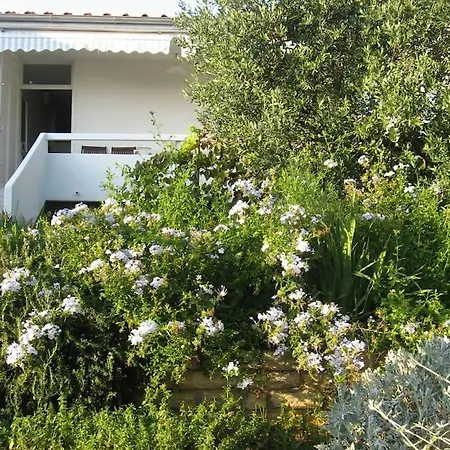 Apartmán Doris Punta Skala, 2 Bedrooms *